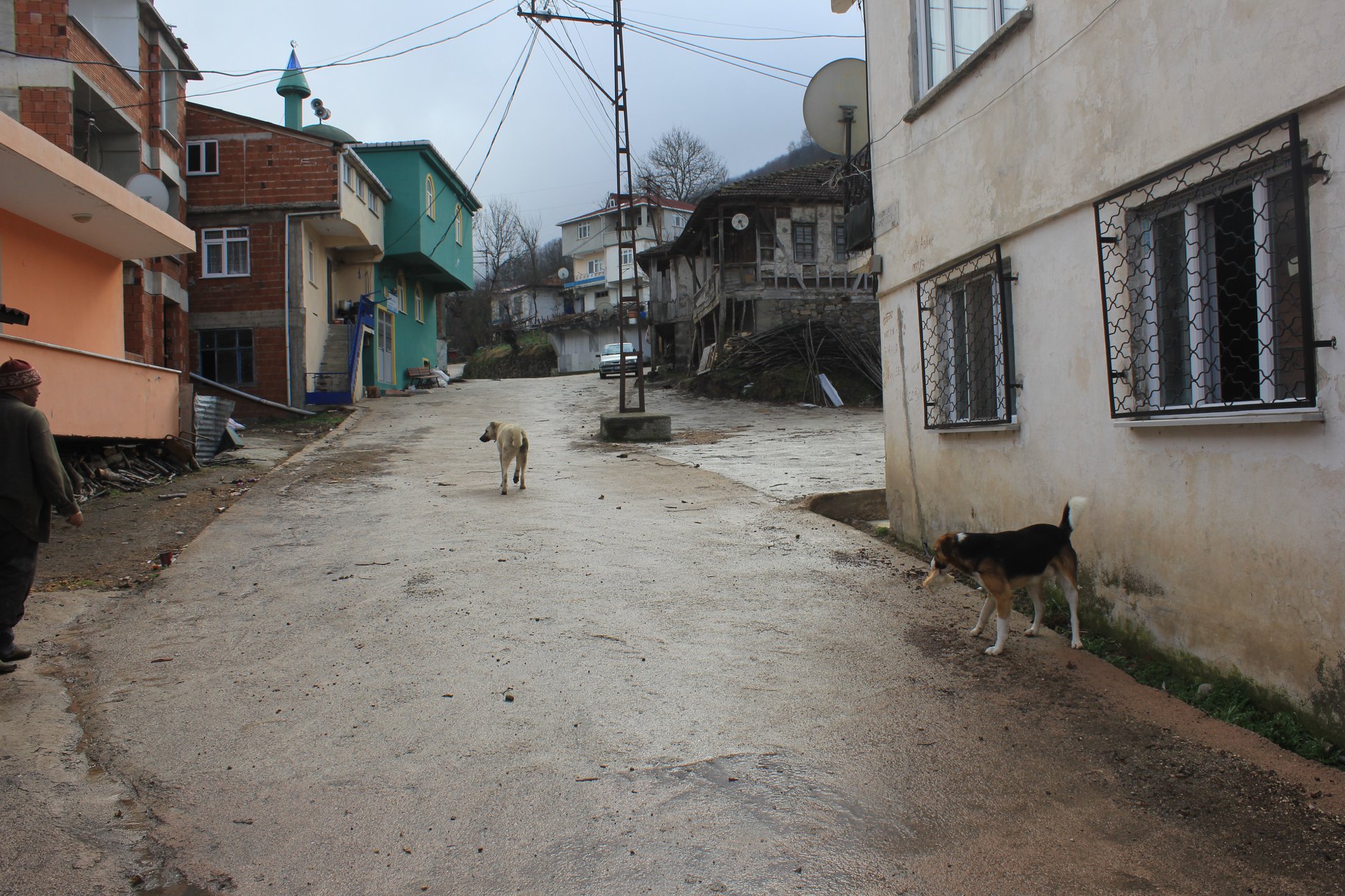 Geriş'te Sonbahar