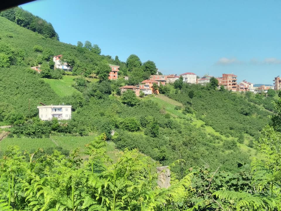 Geriş'te Yaz